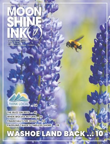 Moonshine Ink 