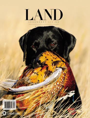 LAND Magazine