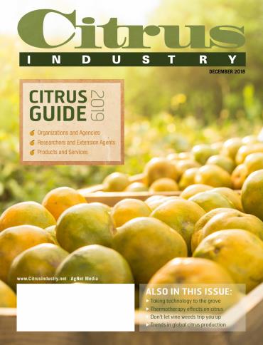 Citrus Industry