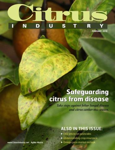 Citrus Industry